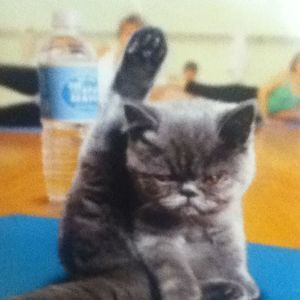 Meet your Posher, Carla